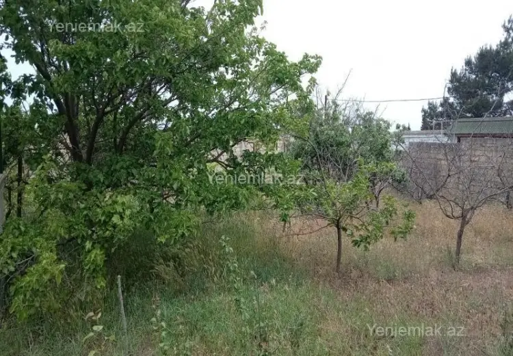 4 sot Torpaq Satılır, Novxanı, Abşeron