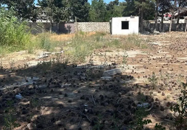 12 sot Torpaq Satılır, Bakıxanov qəs., Sabunçu, Bakı