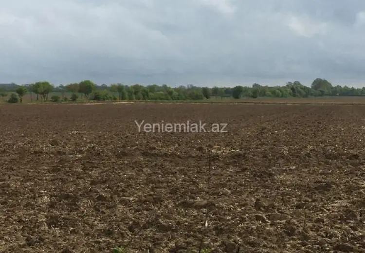 6 sot Torpaq Satılır, Binəqədi qəs., Binəqədi, Bakı