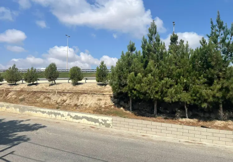 8 sot Torpaq Satılır, Mərdəkan, Xəzər, Bakı