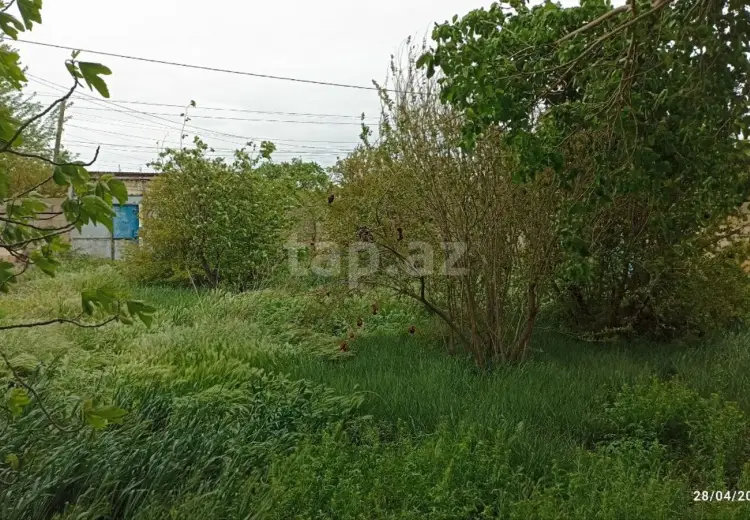 0 m² Obyekt / Ofis , Sumqayıt