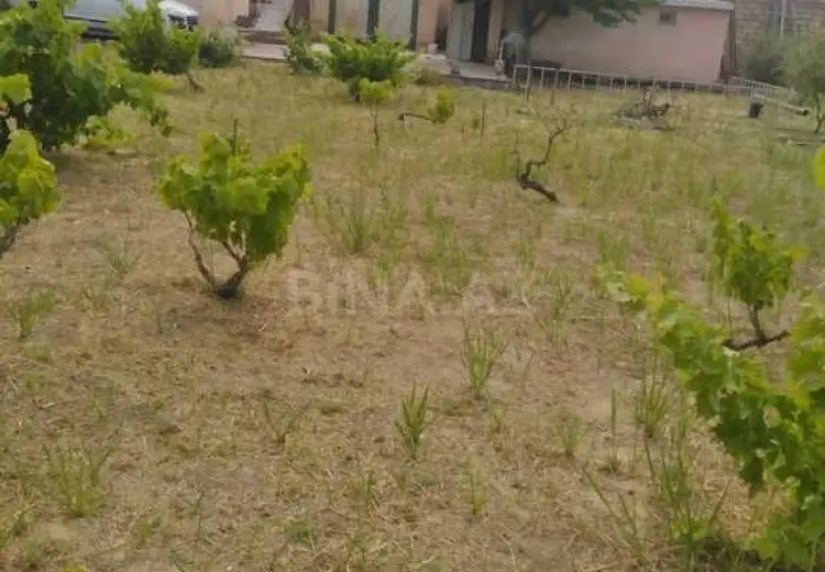 12 sot Torpaq Satılır, Nardaran qəs., Sabunçu, Bakı