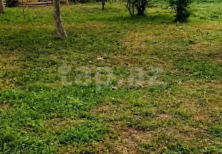 0 m² Obyekt / Ofis , İsmayıllı