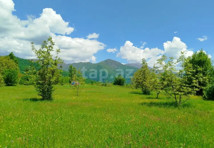 0 m² Obyekt / Ofis , İsmayıllı