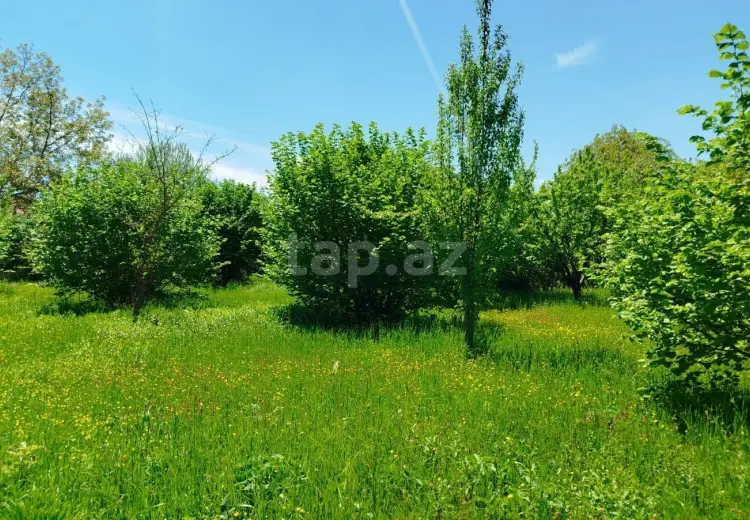 0 m² Obyekt / Ofis , İsmayıllı