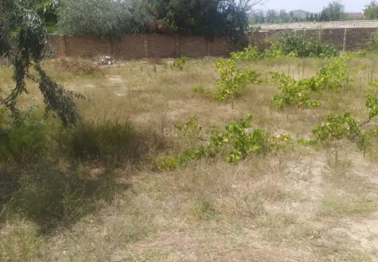 12 sot Torpaq Satılır, Novxanı, Abşeron
