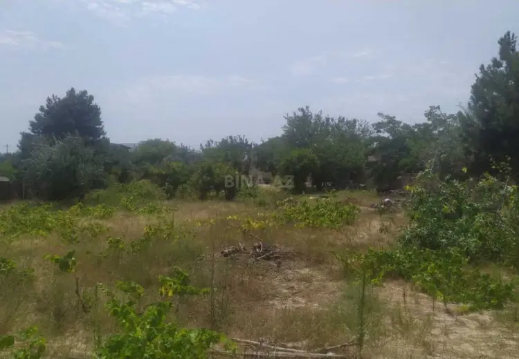 12 sot Torpaq Satılır, Novxanı, Abşeron