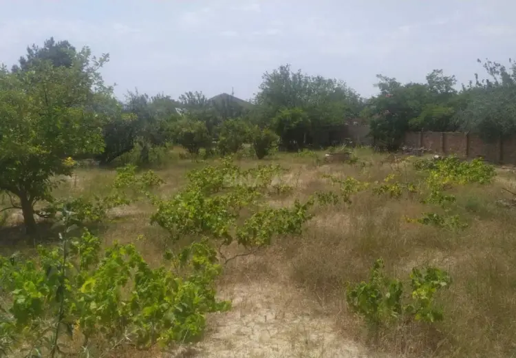 12 sot Torpaq Satılır, Novxanı, Abşeron