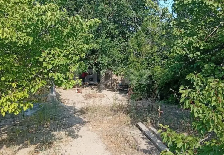 5 otaqlı mənzil , Bakı