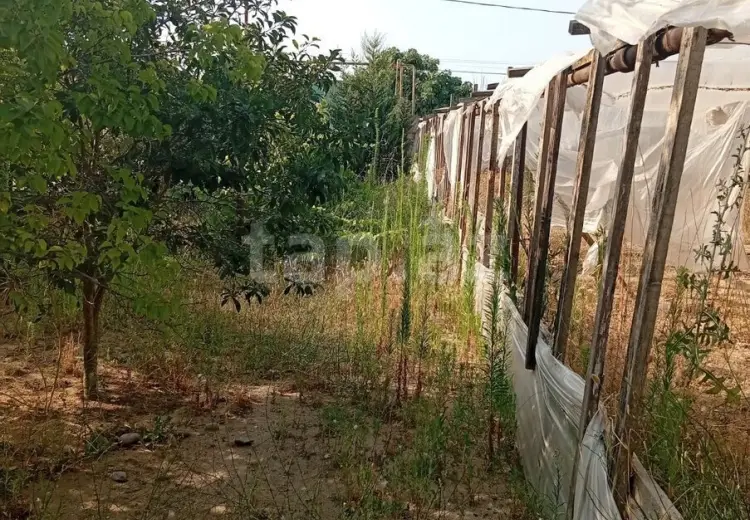 5 otaqlı mənzil , Bakı