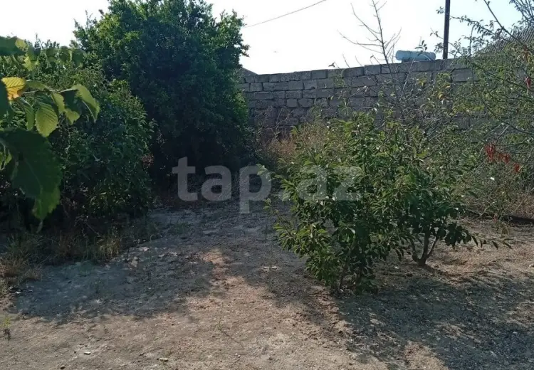 5 otaqlı mənzil , Bakı