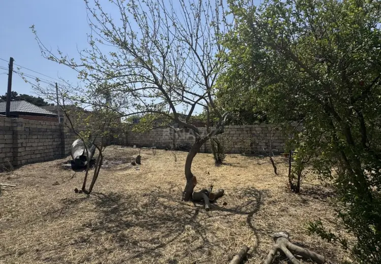 3 sot Torpaq Satılır, Novxanı, Abşeron