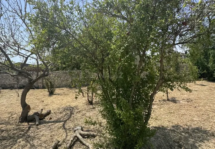3 sot Torpaq Satılır, Novxanı, Abşeron