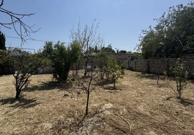 3 sot Torpaq Satılır, Novxanı, Abşeron