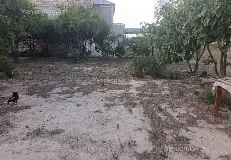6.5 sot Torpaq Satılır, Pirşağı qəs., Sabunçu, Bakı