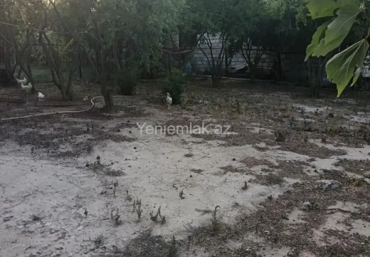 6.5 sot Torpaq Satılır, Pirşağı qəs., Sabunçu, Bakı