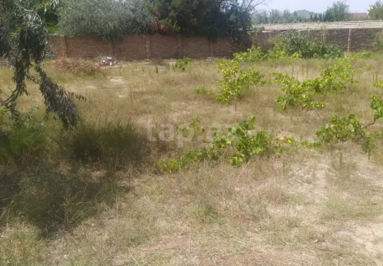 0 m² Obyekt / Ofis , Novxanı, Abşeron