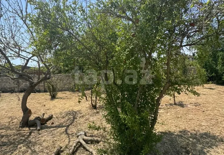 0 m² Obyekt / Ofis , Novxanı, Abşeron