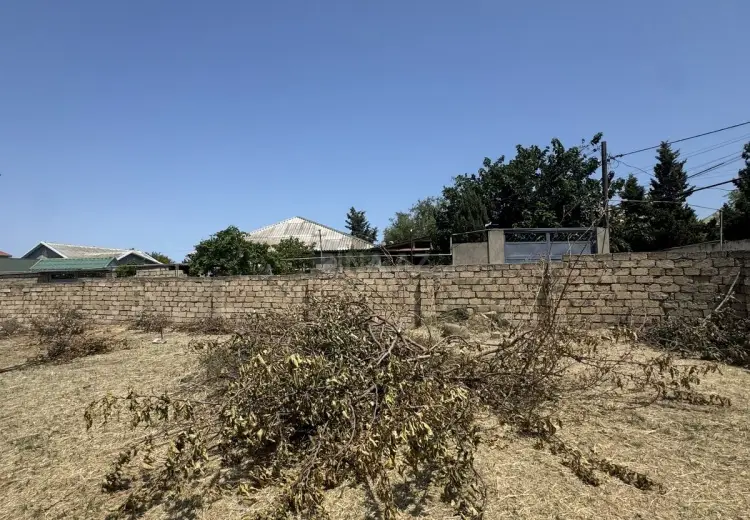 2 sot Torpaq Satılır, Novxanı, Abşeron