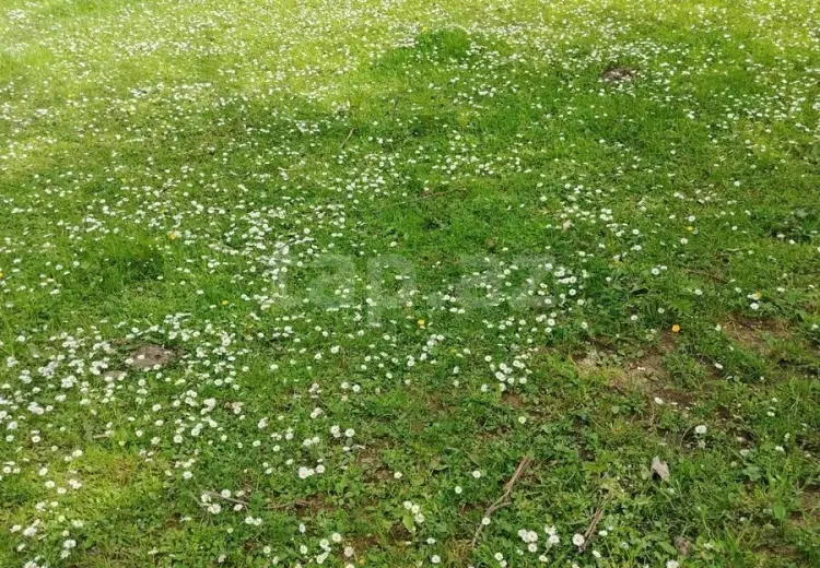 0 m² Obyekt / Ofis , Bakı