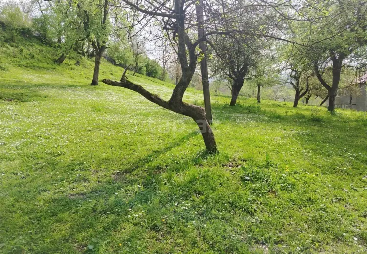 0 m² Obyekt / Ofis , Bakı