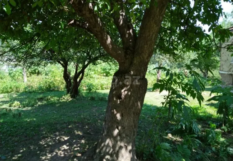 0 m² Obyekt / Ofis , Bakı