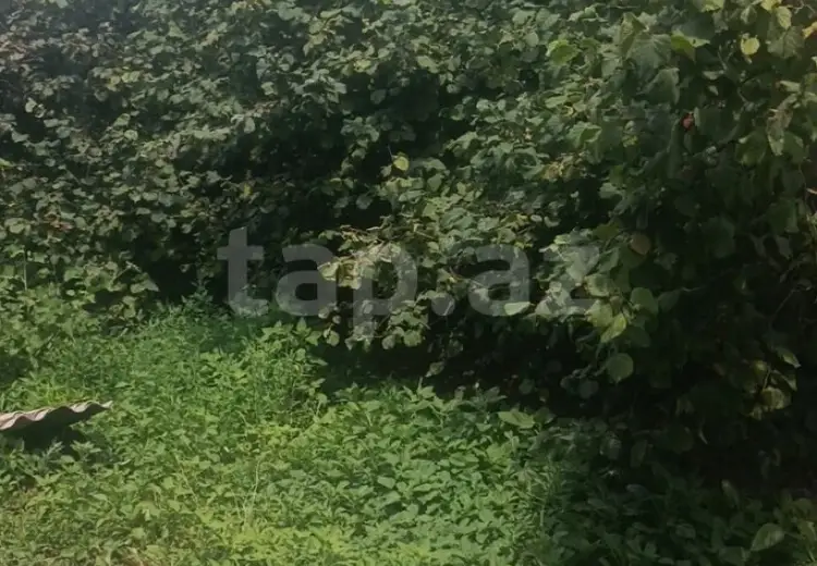 6 otaqlı mənzil , Xaçmaz