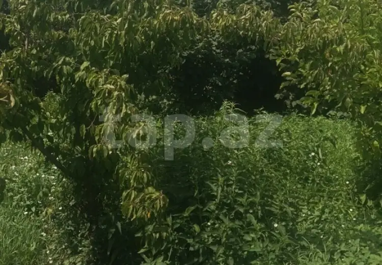 6 otaqlı mənzil , Xaçmaz
