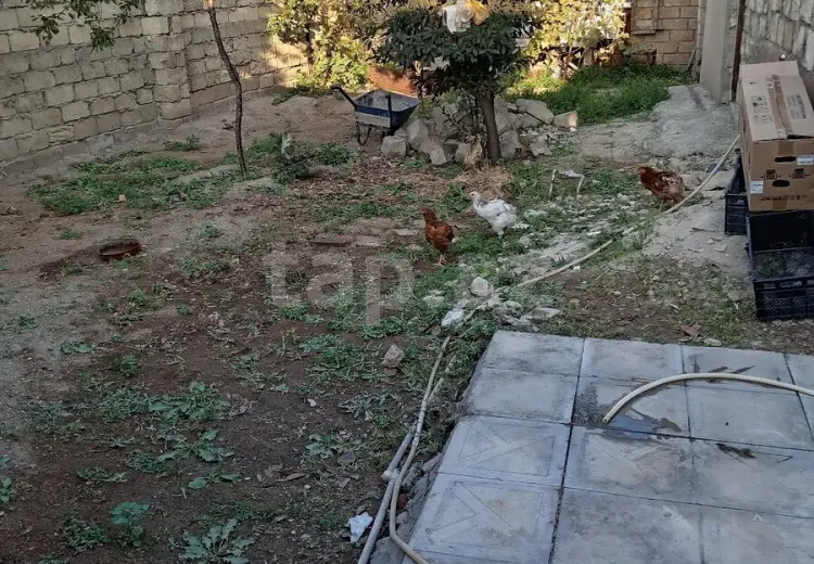 4 otaqlı mənzil , Sumqayıt