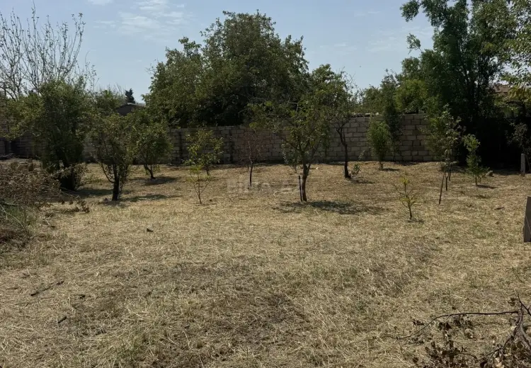 5 sot Torpaq Satılır, Novxanı, Abşeron