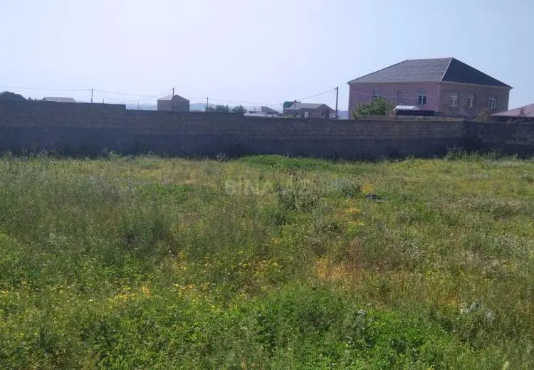5 sot Torpaq Satılır, Saray, Abşeron