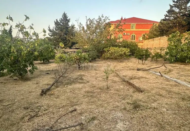 6 sot Torpaq Satılır, Goradil, Abşeron