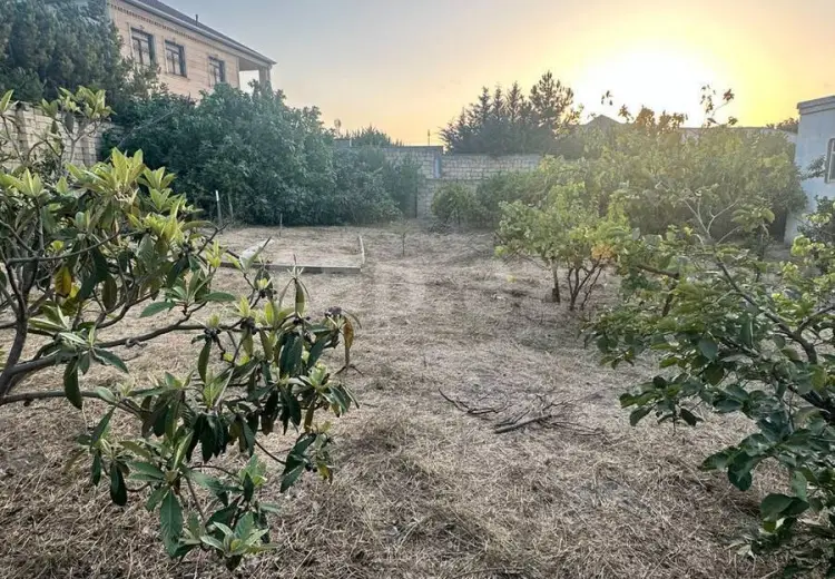 0 m² Obyekt / Ofis , Bakı