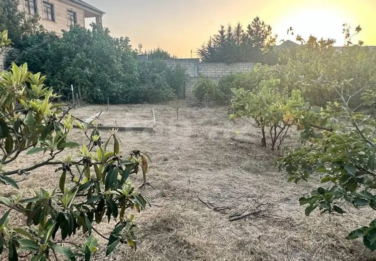 0 m² Obyekt / Ofis , Bakı