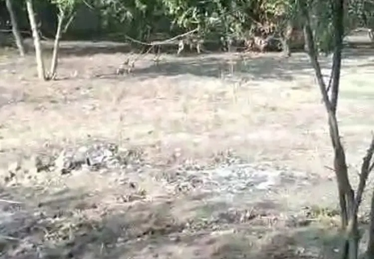 2 otaqlı mənzil , Ağcabədi