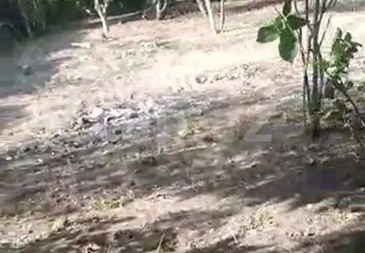 2 otaqlı mənzil , Ağcabədi