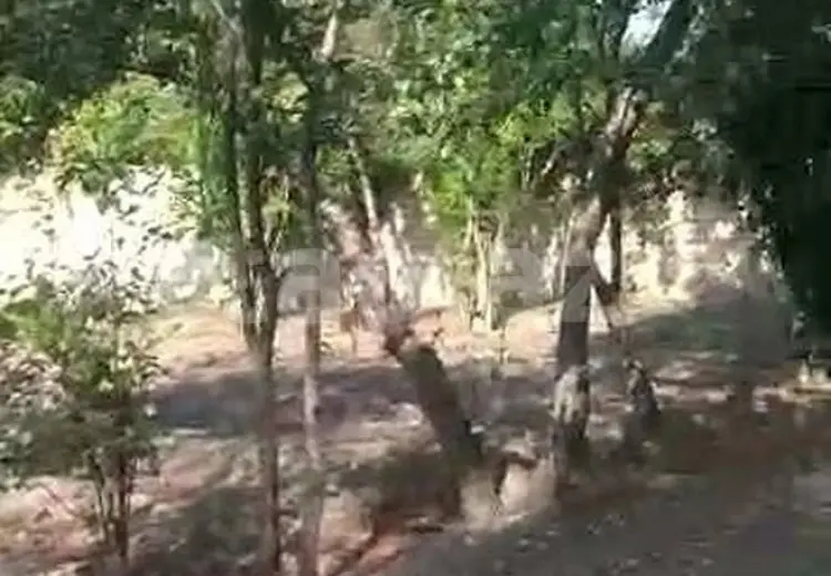 2 otaqlı mənzil , Ağcabədi