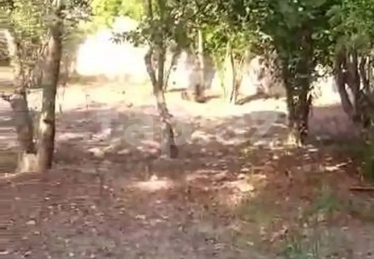 2 otaqlı mənzil , Ağcabədi