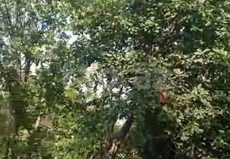 2 otaqlı mənzil , Ağcabədi