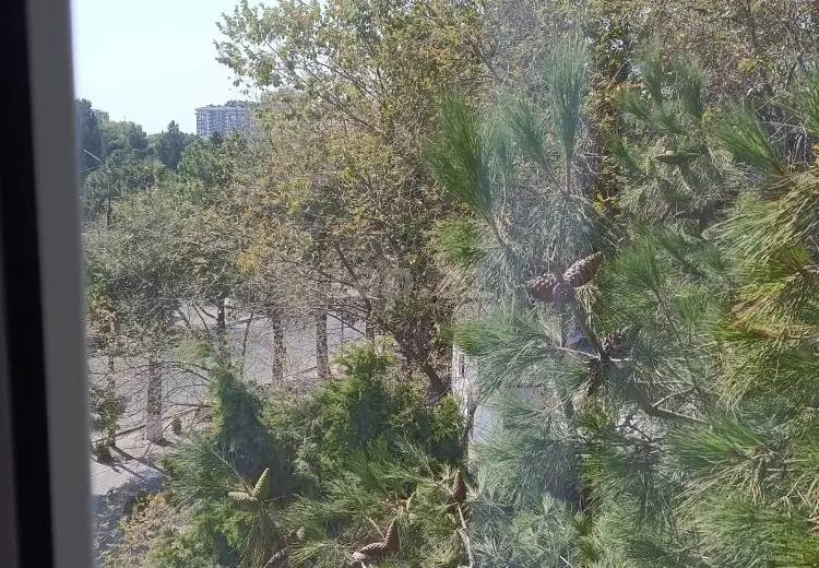 3 otaqlı mənzil , Bakı