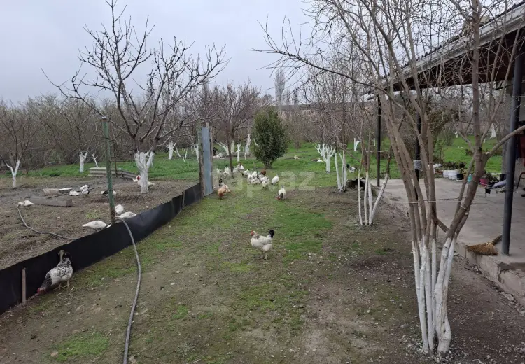 4 otaqlı mənzil , Xaçmaz