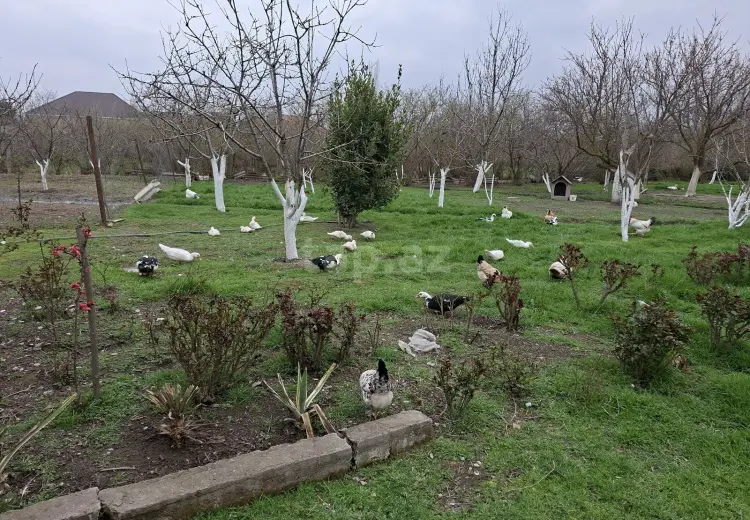 4 otaqlı mənzil , Xaçmaz