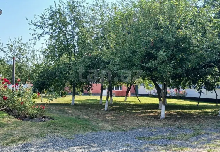 4 otaqlı mənzil , Qəbələ