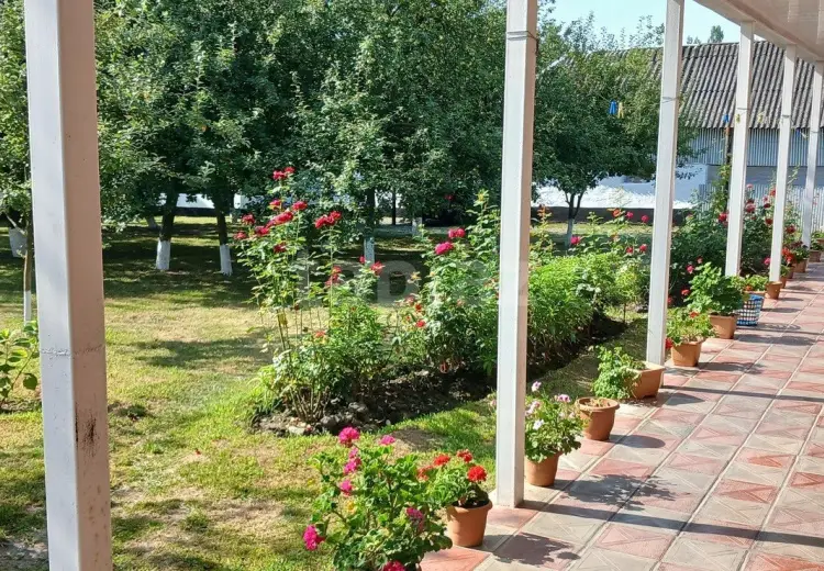 4 otaqlı mənzil , Qəbələ