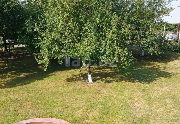4 otaqlı mənzil , Qəbələ