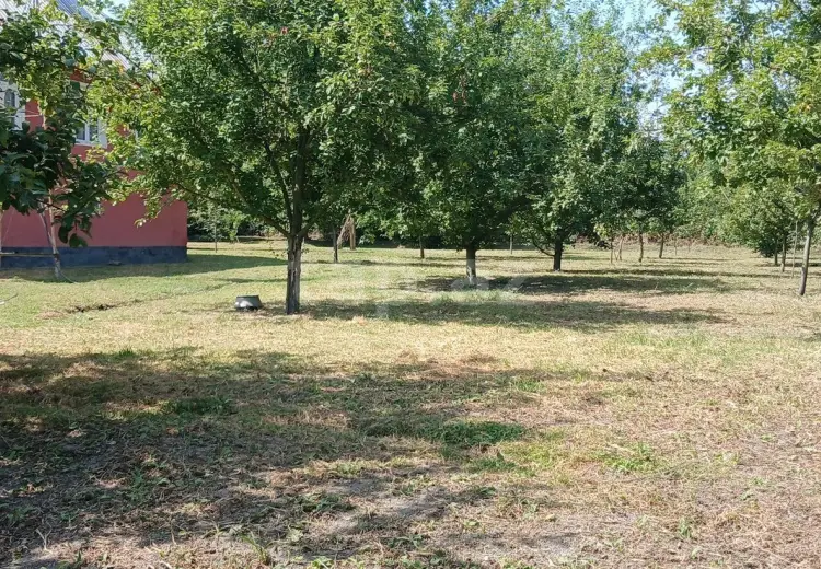 4 otaqlı mənzil , Qəbələ