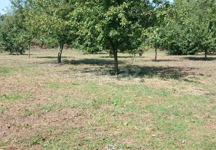 4 otaqlı mənzil , Qəbələ