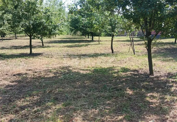 4 otaqlı mənzil , Qəbələ