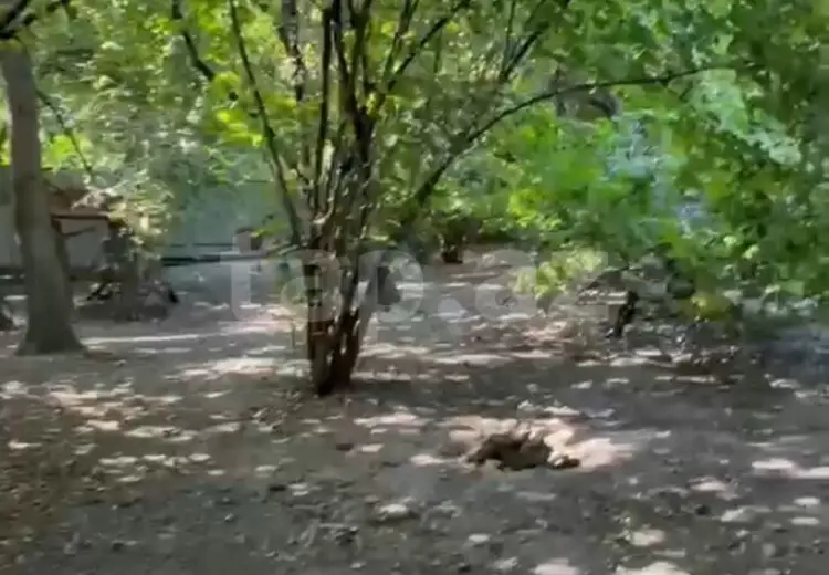 4 otaqlı mənzil , Bakı