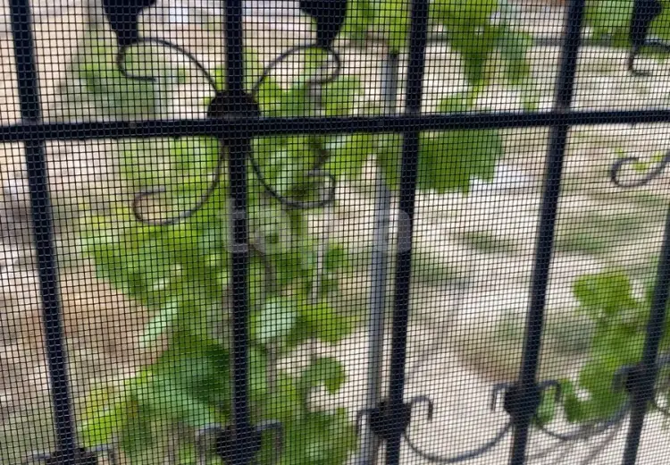 4 otaqlı mənzil , Bakı